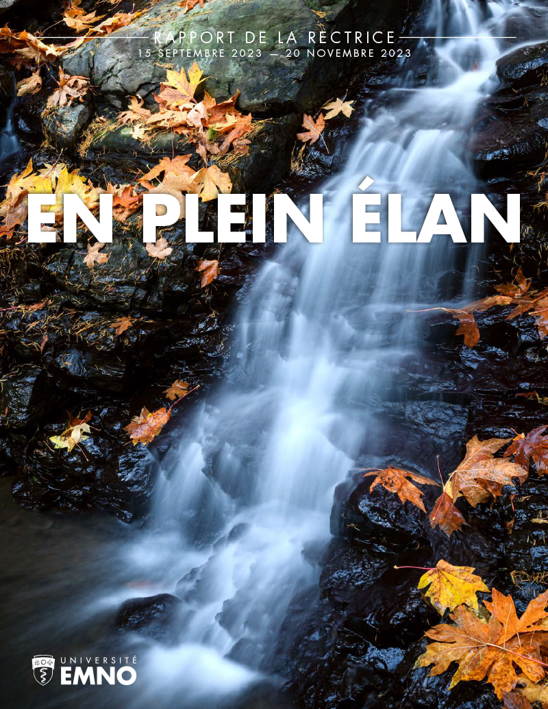 Presidents Report Cover: Momentum. Waterfall with maple leaves