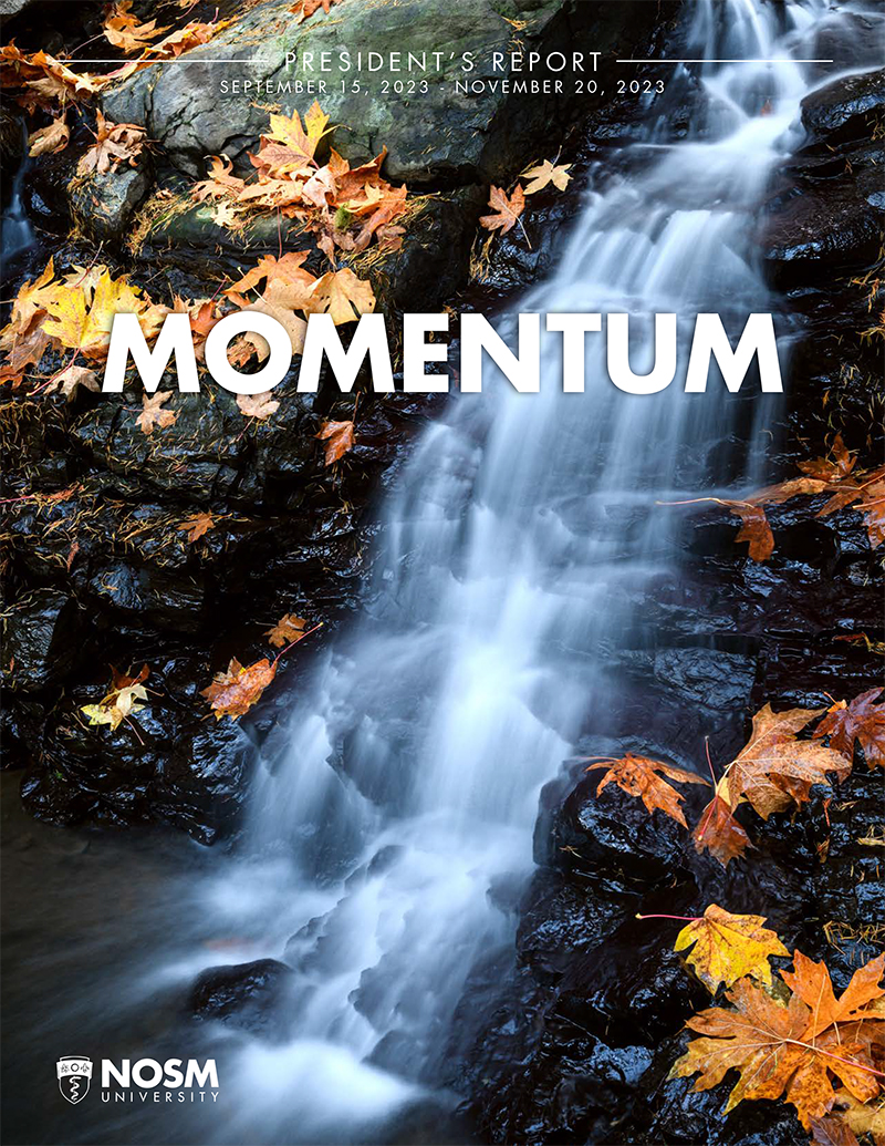 Presidents Report Cover: Momentum. Waterfall with maple leaves