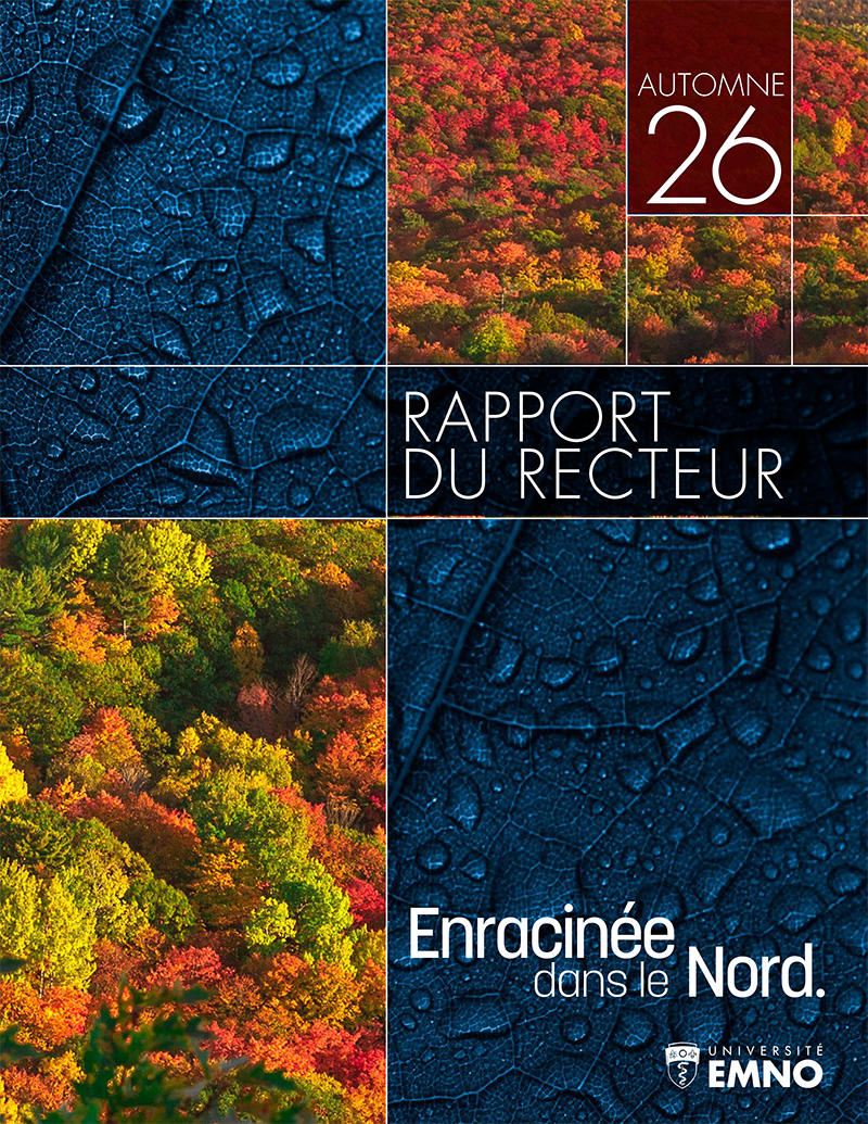 Rapport du recteur
